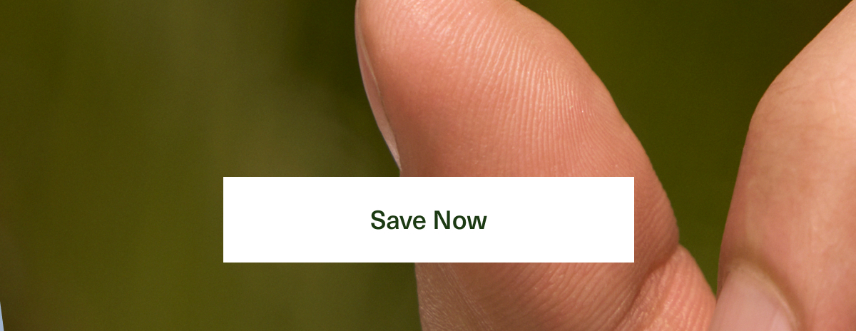 Save Now