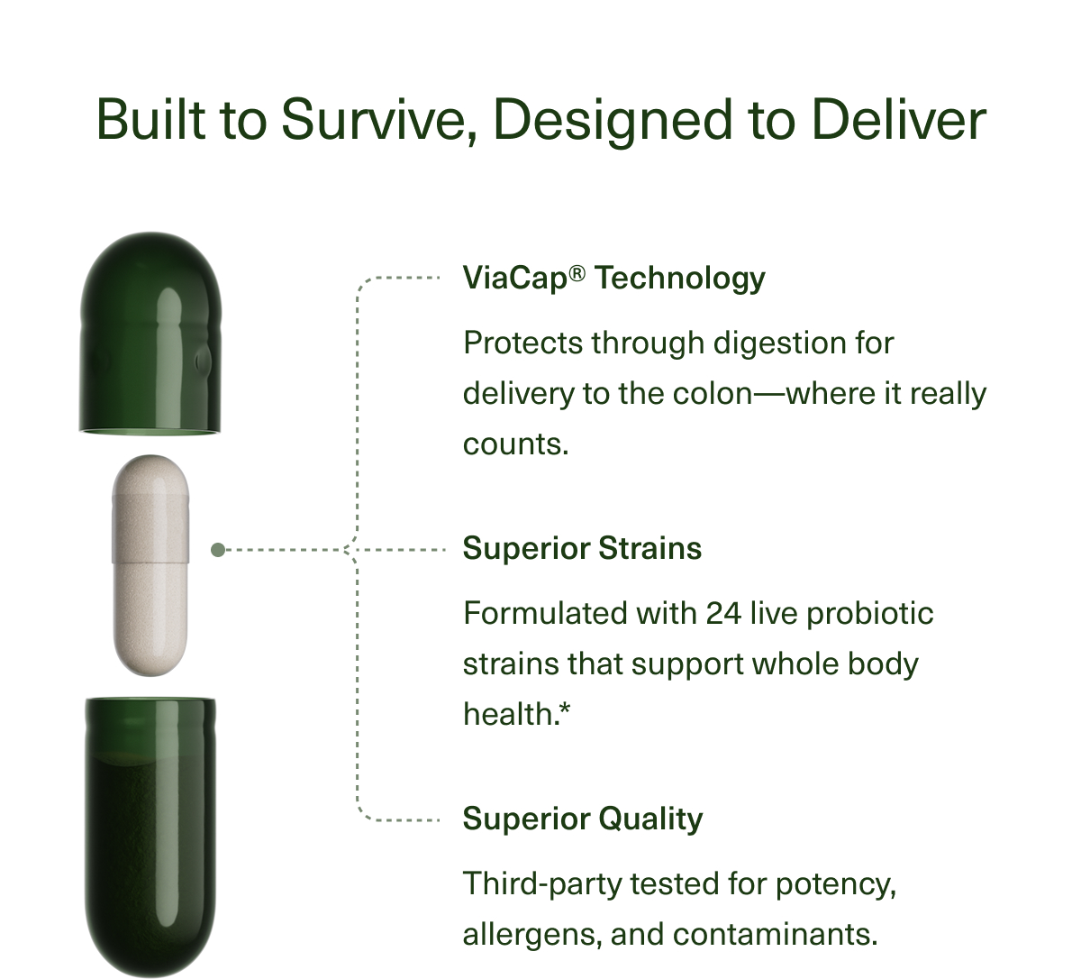 Built to Survive, Designed to Deliver | ViaCap® Technology | Protects through digestion for delivery to the colon—where it really counts. | Superior Strains | Formulated with 24 live probiotic strains that support whole body health.* | Superior Quality | Third-party tested for potency, allergens, and contaminants. 