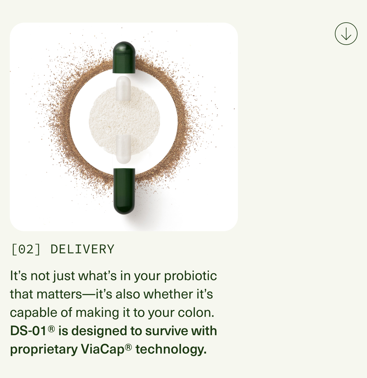 [02] DELIVERY | It’s not just what’s in your probiotic that matters—it’s also whether it’s capable of making it to your colon. DS-01® is designed to survive with proprietary ViaCap® technology.