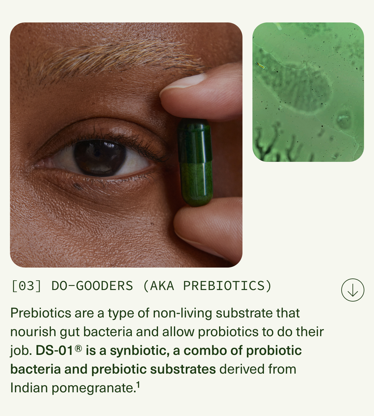 [03] DO-GOODERS (AKA PREBIOTICS) | Prebiotics are a type of non-living substrate that nourish gut bacteria and allow probiotics to do their job. DS-01® is a synbiotic, a combo of probiotic bacteria and prebiotic substrates derived from Indian pomegranate.¹