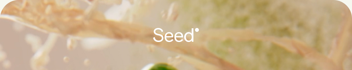Seed 
