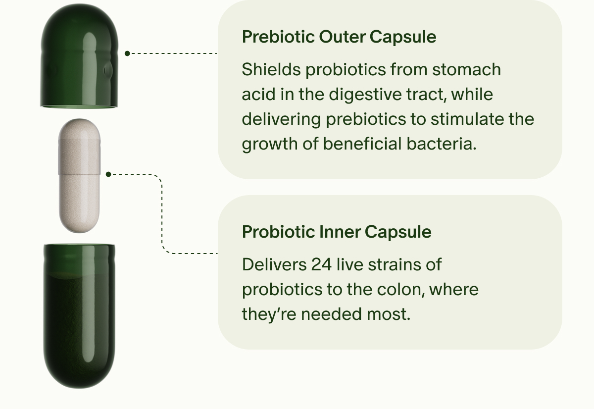Prebiotic Outer Capsule | Shields probiotics from stomach acid in the digestive tract, while delivering prebiotics to stimulate the growth of beneficial bacteria. | Probiotic Inner Capsule | Delivers 24 live strains of probiotics to the colon, where they’re needed most.