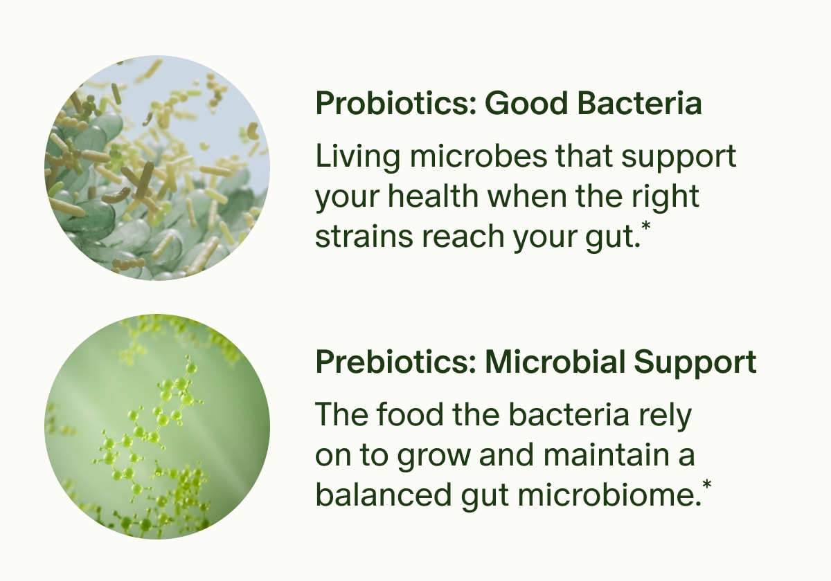 Probiotics: Good Bacteria | Living microbes that support your health when the right strains reach your gut.* | Prebiotics: Microbial Support | The food the bacteria rely on to grow and maintain a balanced gut microbiome.*