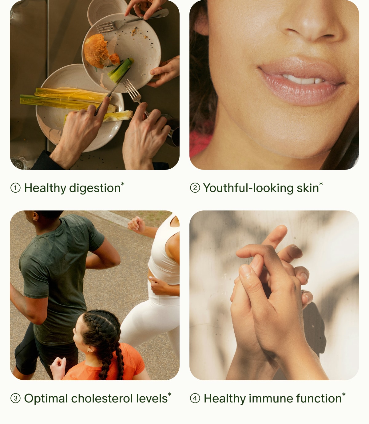 1. Healthy digestion* | 2. Youthful-looking skin* | 3. Optimal cholesterol levels* | 4. Healthy immune function*