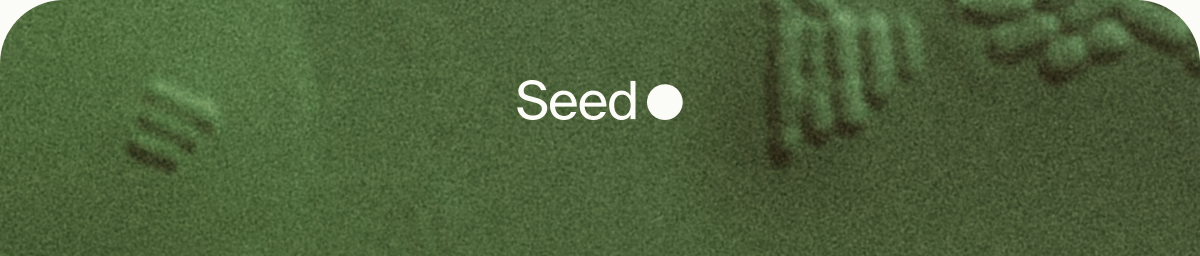 Seed