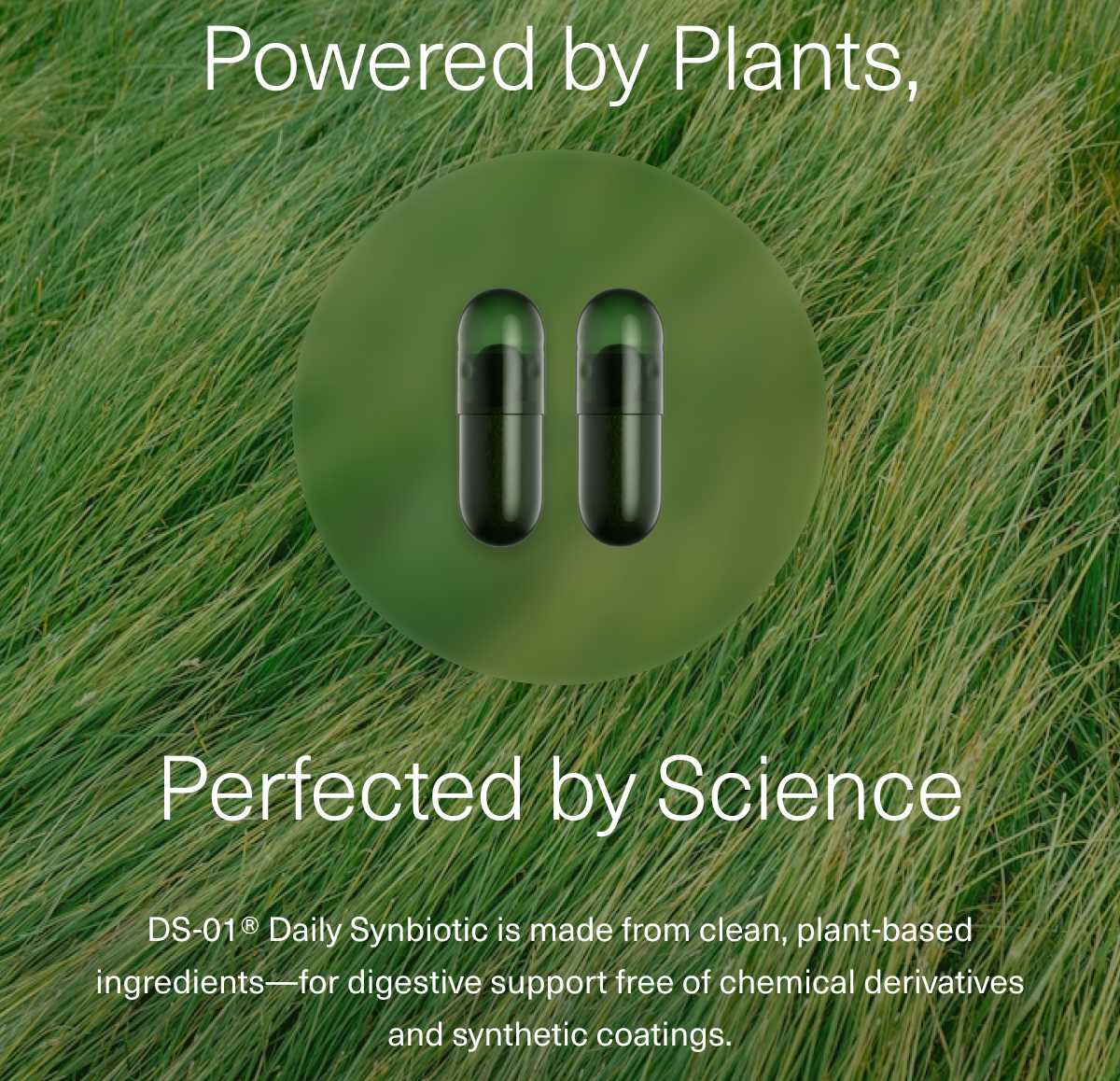 Powered by Plants, Perfected by Science DS-01® Daily Synbiotic is made from clean, plant-based ingredients—for digestive support free of chemical derivatives and synthetic coatings.