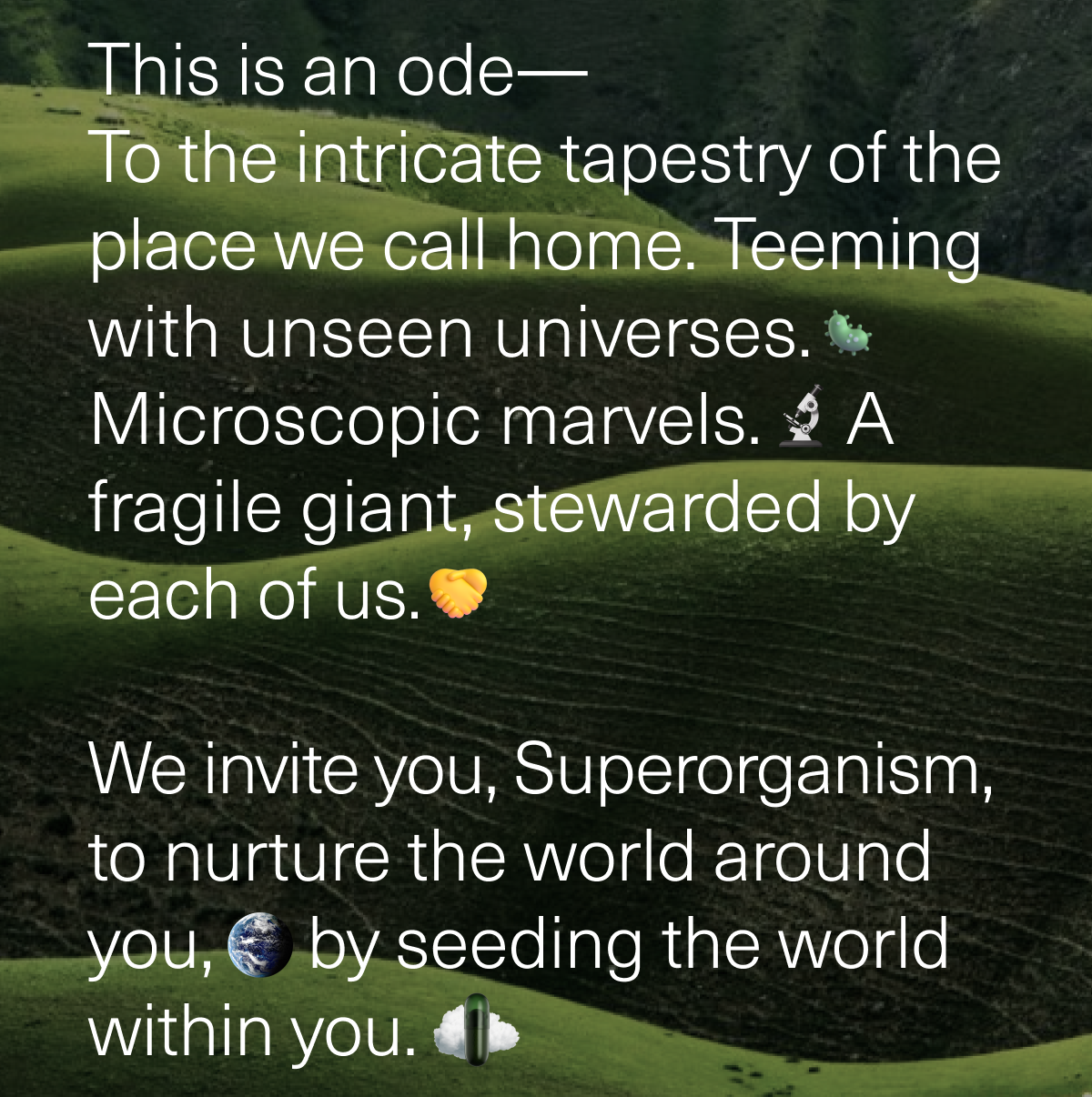 This is an ode— To the intricate tapestry of the place we call home. Teeming with unseen universes. Microscopic marvels. A fragile giant, stewarded by each of us. We invite you, Superorganism to nurture the world around you, by seeding the world within you.