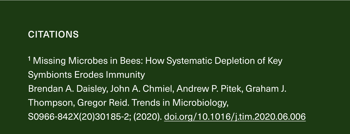 ¹ Missing Microbes in Bees: How Systematic Depletion of Key Symbionts Erodes Immunity  Brendan A. Daisley, John A. Chmiel, Andrew P. Pitek, Graham J. Thompson, Gregor Reid. Trends in Microbiology, S0966-842X(20)30185-2; (2020). https://doi.org/10.1016/j.tim.2020.06.006 