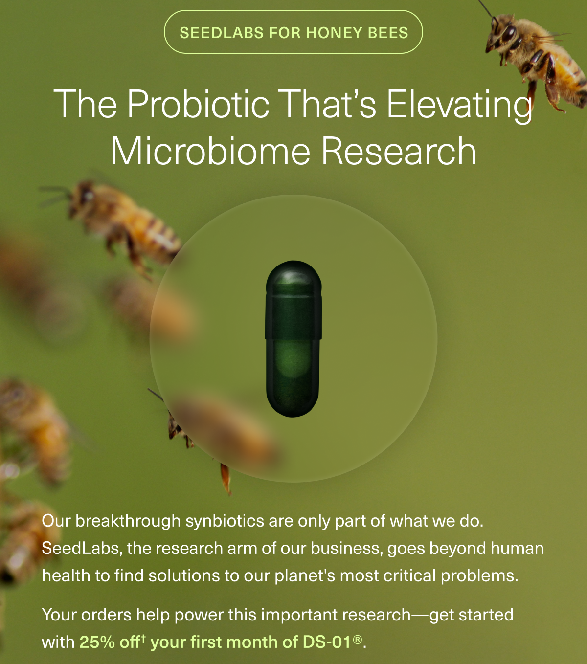 SEEDLABS FOR HONEY BEES THE PROBIOTIC THAT’S ELEVATING MICROBIOME RESEARCH Our breakthrough synbiotics are only part of what we do. SeedLabs, the research arm of our business, goes beyond human health to find solutions to our planet's most critical problems. Your orders help power this important research—get started with 25% off† your first month of DS-01®. 