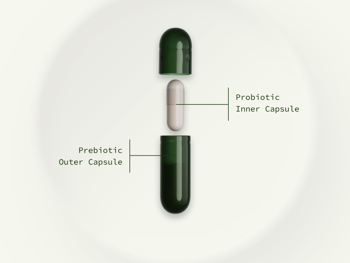 Probiotic Inner Capsule Prebiotic Outer Capsule