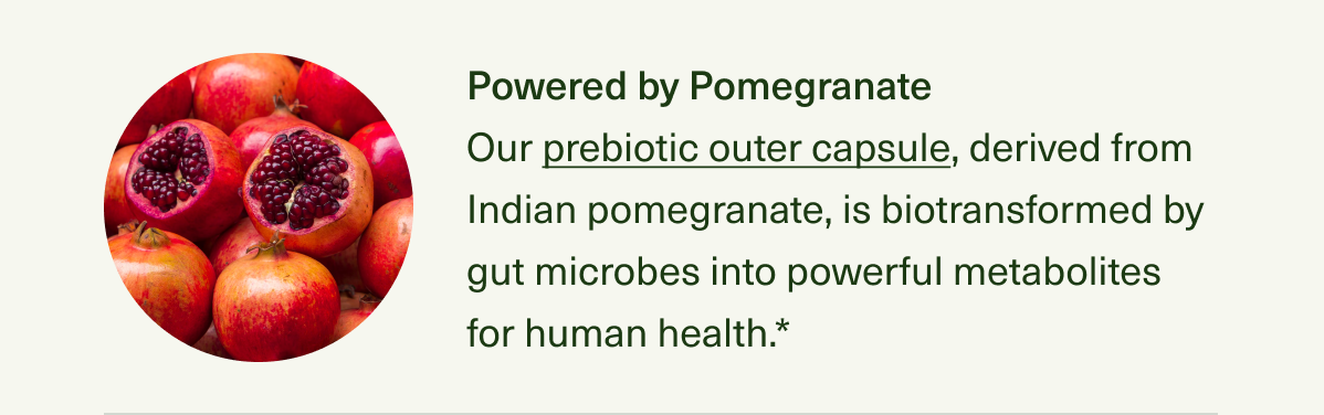 Powered by Pomegranate Our prebiotic outer capsule, derived from Indian pomegranate, is biotransformed by gut microbes into powerful metabolites for human health.