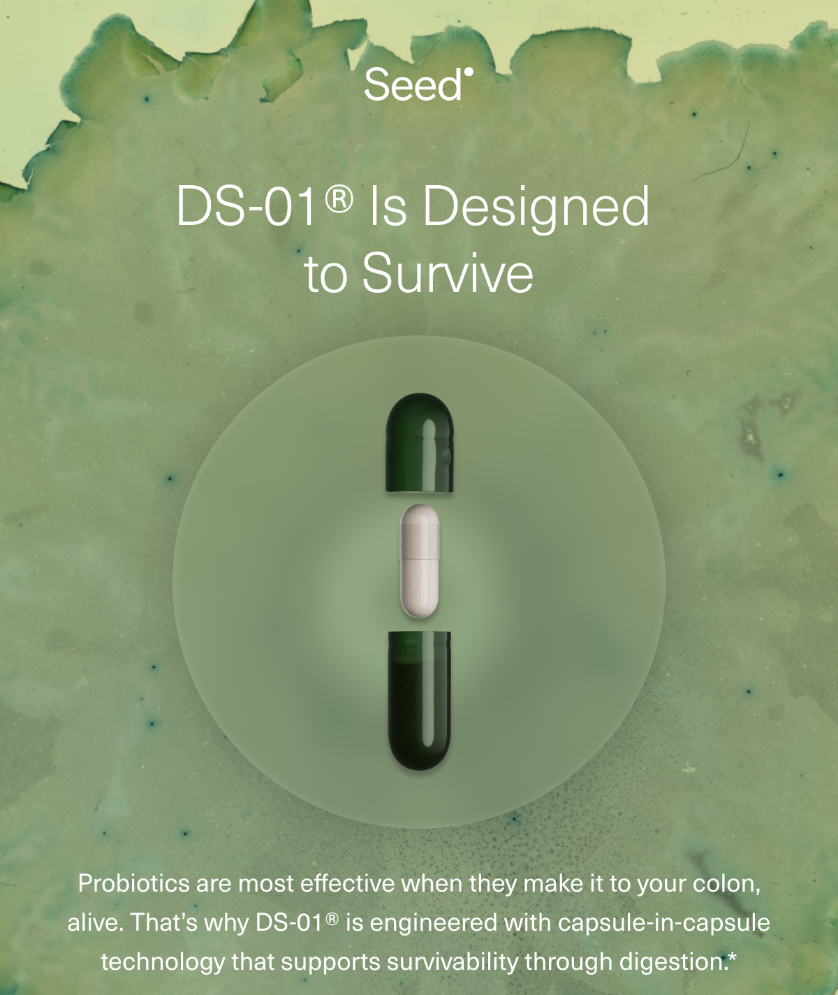 DS-01® Is Designed to Survive Probiotics are most effective when they make it to your colon, alive. That’s why DS-01® is engineered with capsule-in-capsule technology that supports survivability through digestion.* 