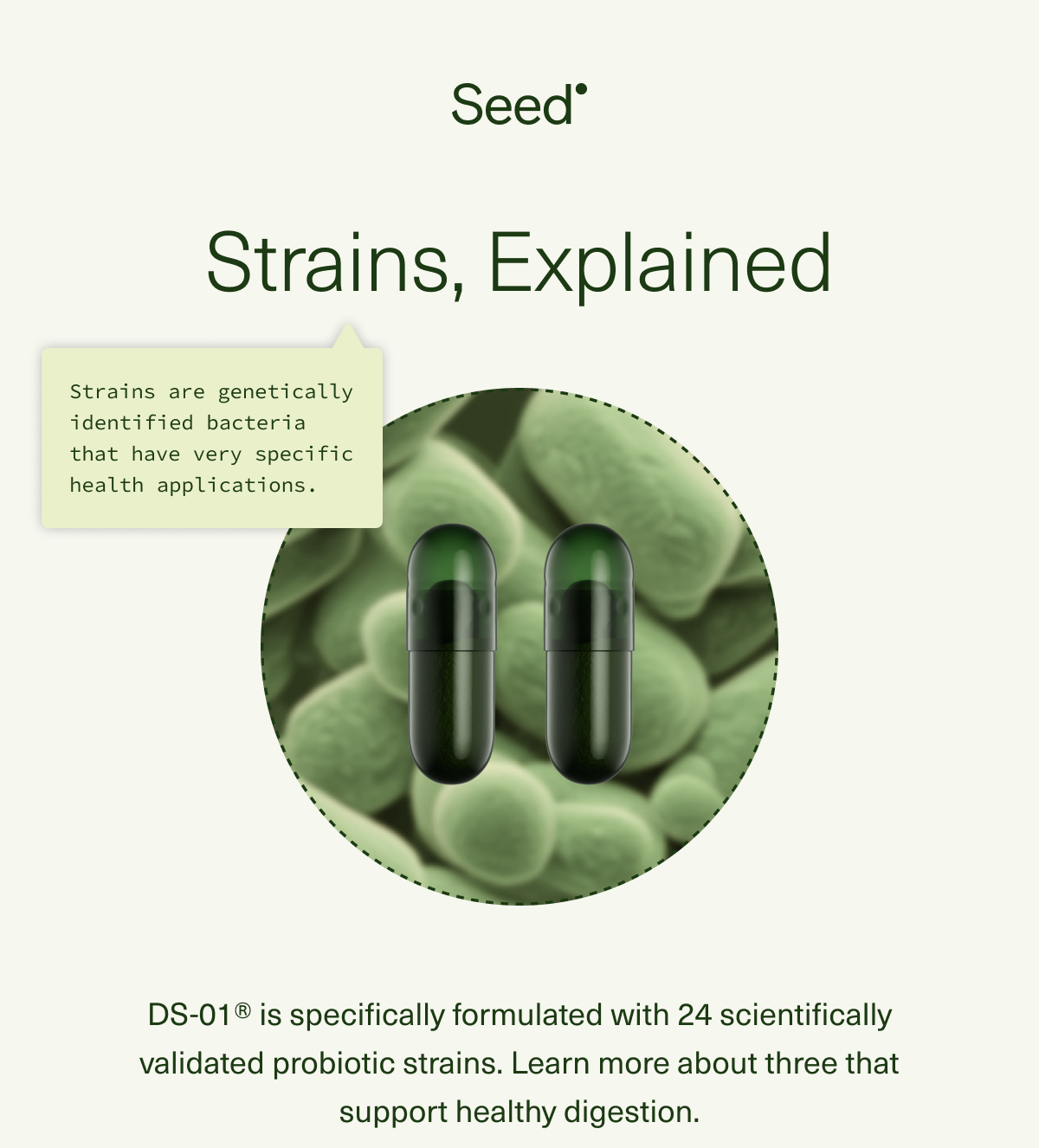 Strains, Explained Strains are genetically identified bacteria that have very specific health applications. DS-01® is formulated with 24 scientifically validated strains for a range of whole-body health benefits, learn more about three that specifically support healthy digestion. 