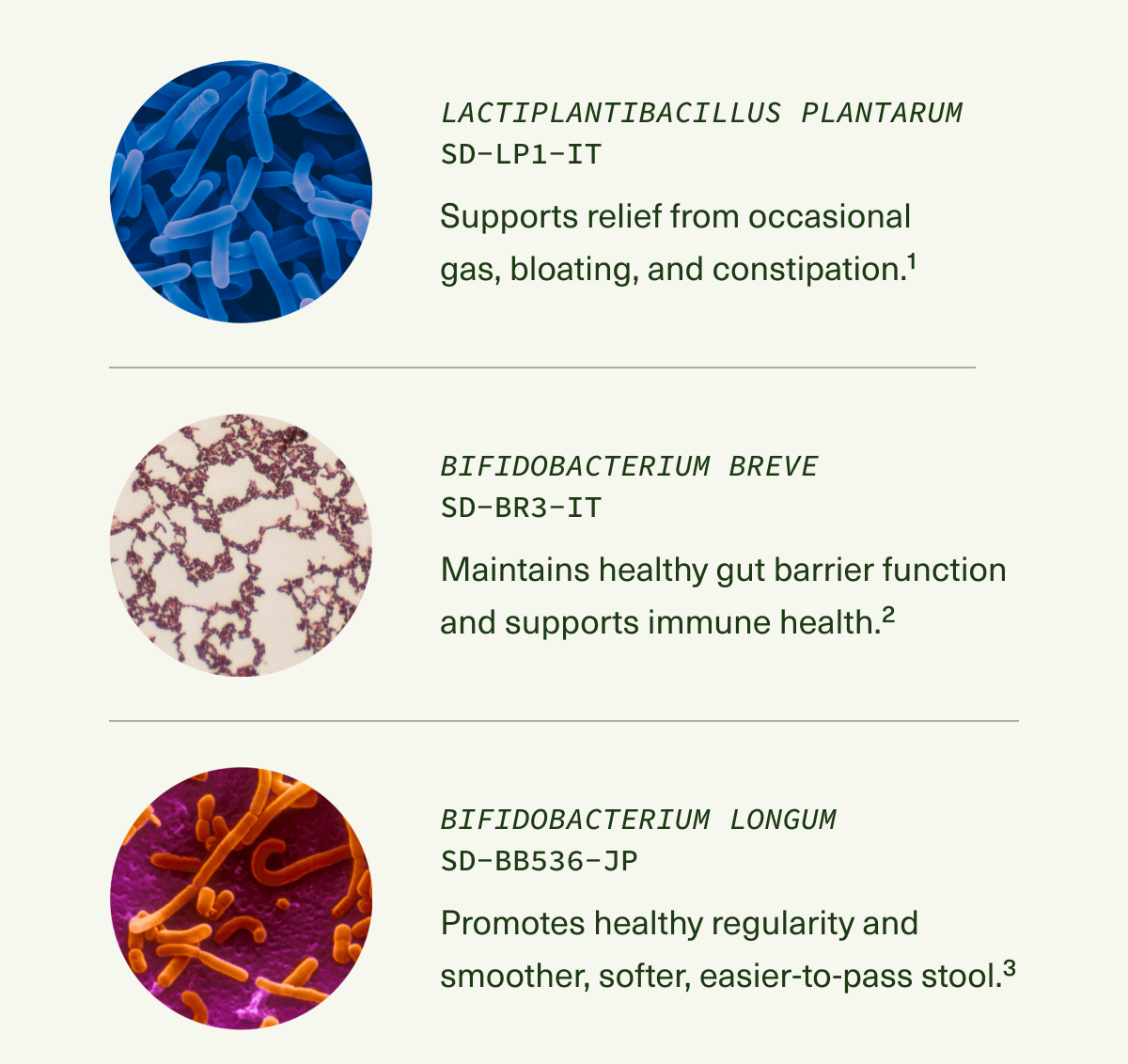  Lactiplantibacillus plantarum SD-LP1-IT Supports relief from occasional gas, bloating, and constipation.1 Bifidobacterium breve SD-BR3-IT Maintains healthy gut barrier function and supports immune health.2 Bifidobacterium longum SD-BB536-JP Promotes healthy regularity and smoother, softer, easier-to-pass stool.3