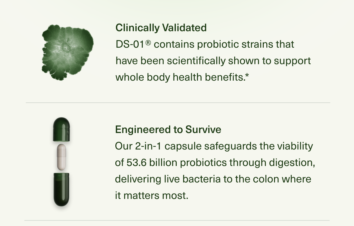 Clinically Studied Strains DS-01® contains probiotic strains that have been clinically and scientifically studied to provide benefits around gastrointestinal function, skin health, heart health, and beyond. Engineered to Survive Our 2-in-1 capsule technology protects against stomach acid and safeguards the viability of 53.6 billion probiotic bacteria through digestion, delivering live bacteria to the colon where it matters most.