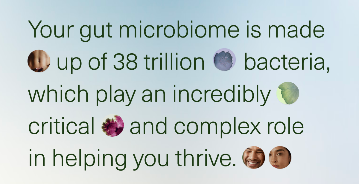 Your gut microbiome is made up of 38 trillion bacteria, which play an incredibly critical and complex role in helping you thrive.