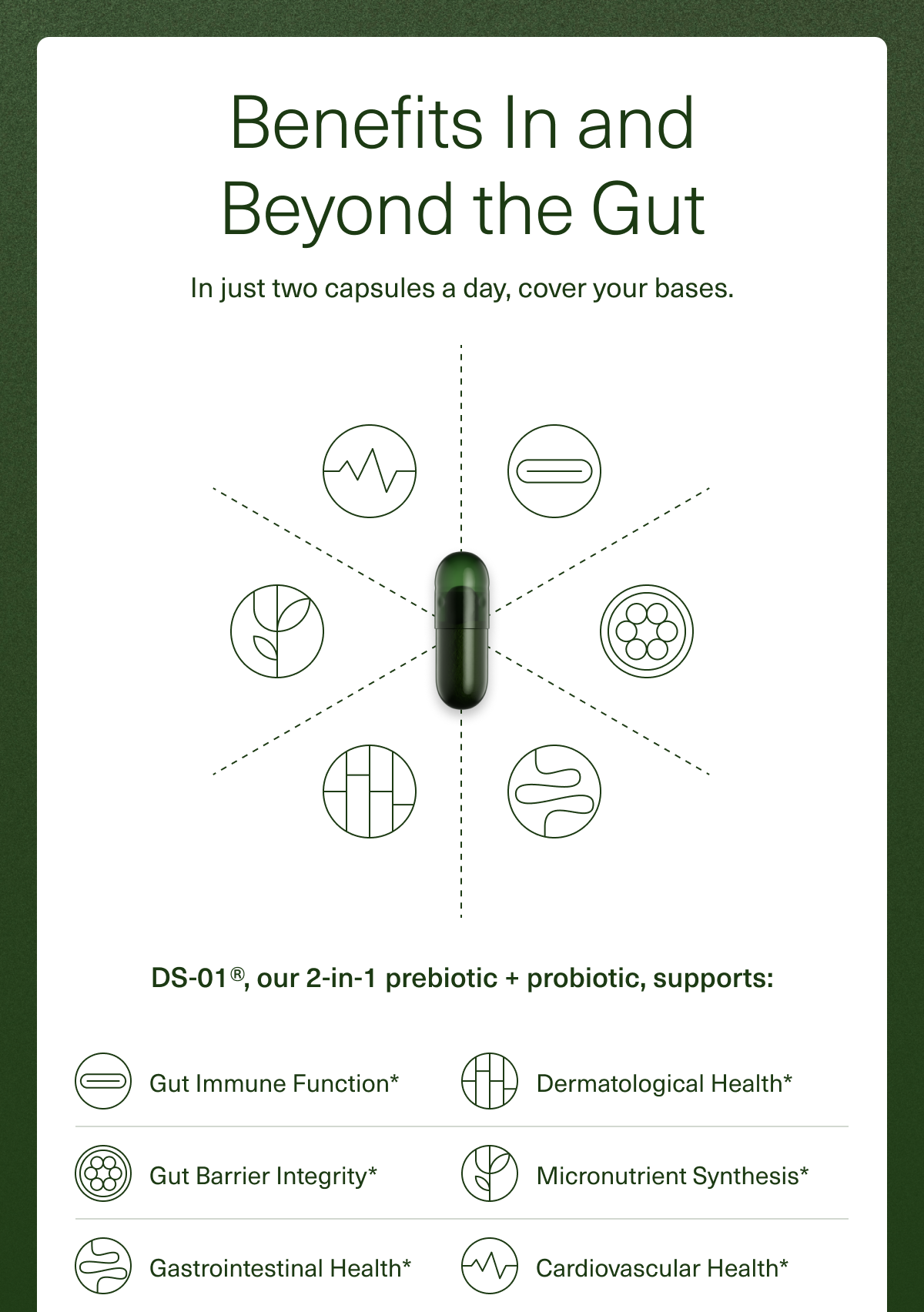 Benefits In and Beyond the Gut. In just two capsules a day, cover your bases. DS-01®, our 2-in-1 prebiotic + probiotic, supports: Gut Immune Function*, Dermatological Health*, Gut Barrier Integrity*, Micronutrient Synthesis*, Gastrointestinal Health*, Cardiovascular Health*.