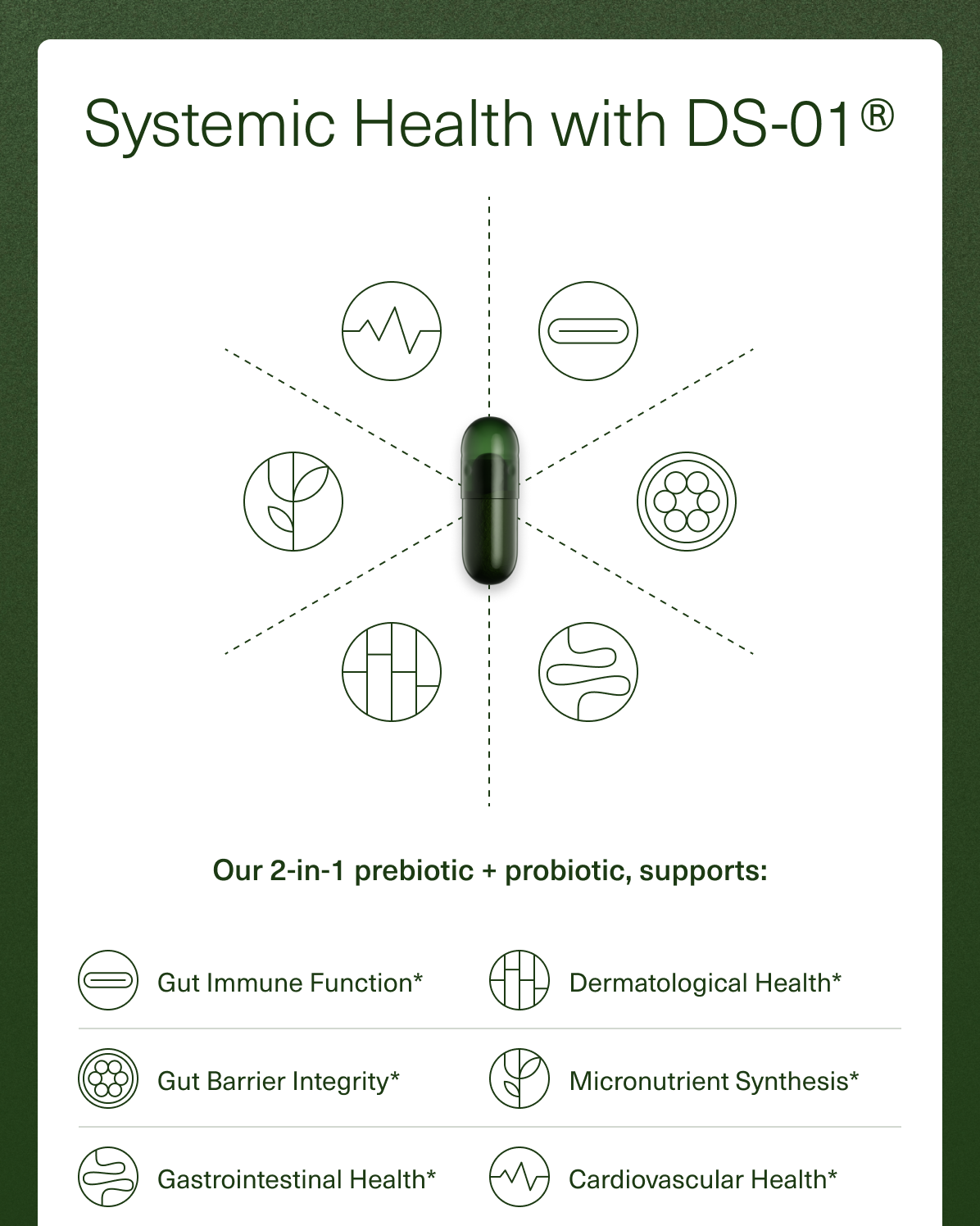 Systemic Health with DS-01®. Our 2-in-1 prebiotic + probiotic, supports: Gut Immune Function*, Gut Immune Function*, Gut Barrier Integrity*, Micronutrient Synthesis*, Gastrointestinal Health*, Cardiovascular Health*.