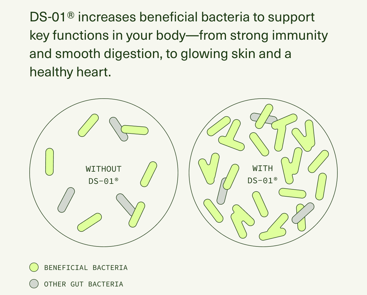 DS-01® increases beneficial bacteria to support key functions in your body—from strong immunity and smooth digestion, to glowing skin and a healthy heart.