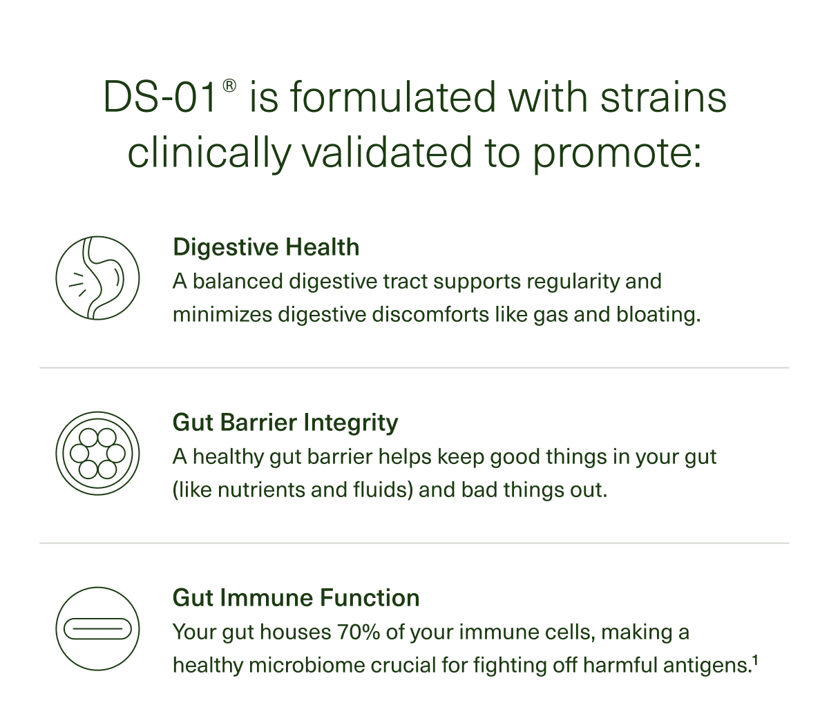 DS-01® is formulated with strains clinically validated to promote: | Digestive Health | A balanced digestive tract supports regularity and minimizes digestive discomforts like gas and bloating. | Gut Barrier Integrity | A healthy gut barrier helps keep good things in your gut (like nutrients and fluids) and bad things out. | Gut Immune Function | Your gut houses 70% of your immune cells, making a healthy microbiome crucial for fighting off harmful antigens.¹