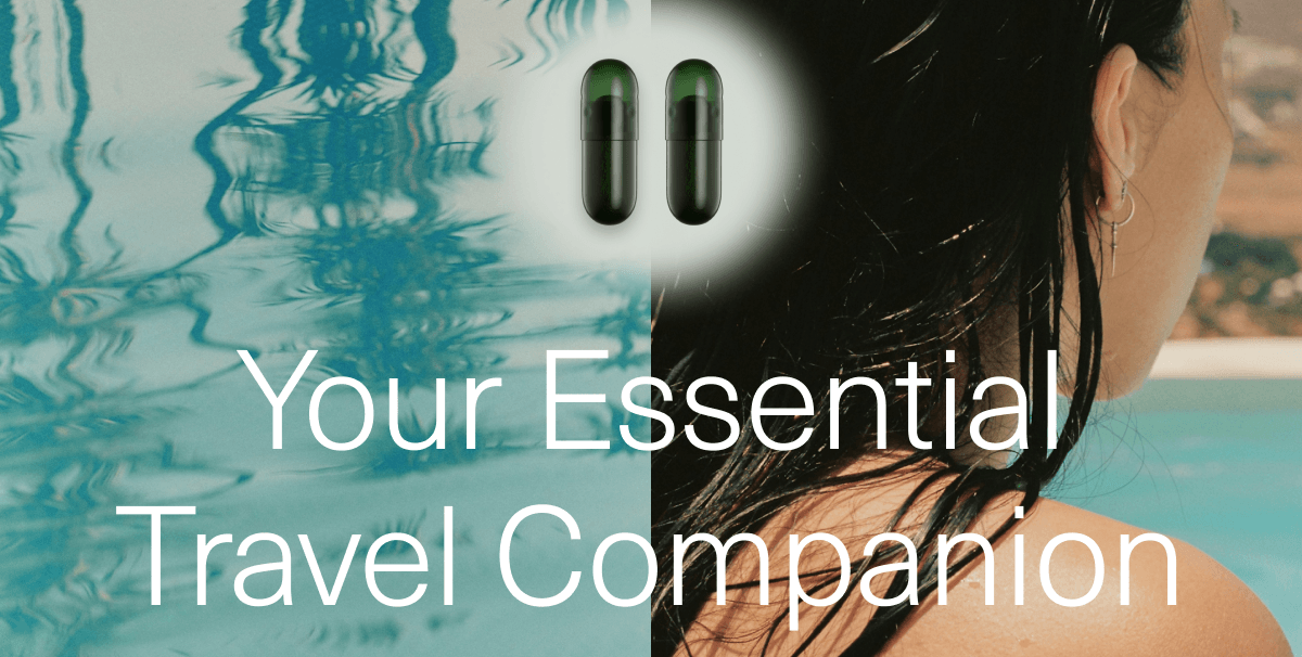 Your Essential Travel Companion