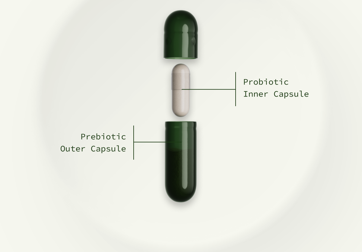 Probiotic Inner Capsule | Prebiotic Outer Capsule