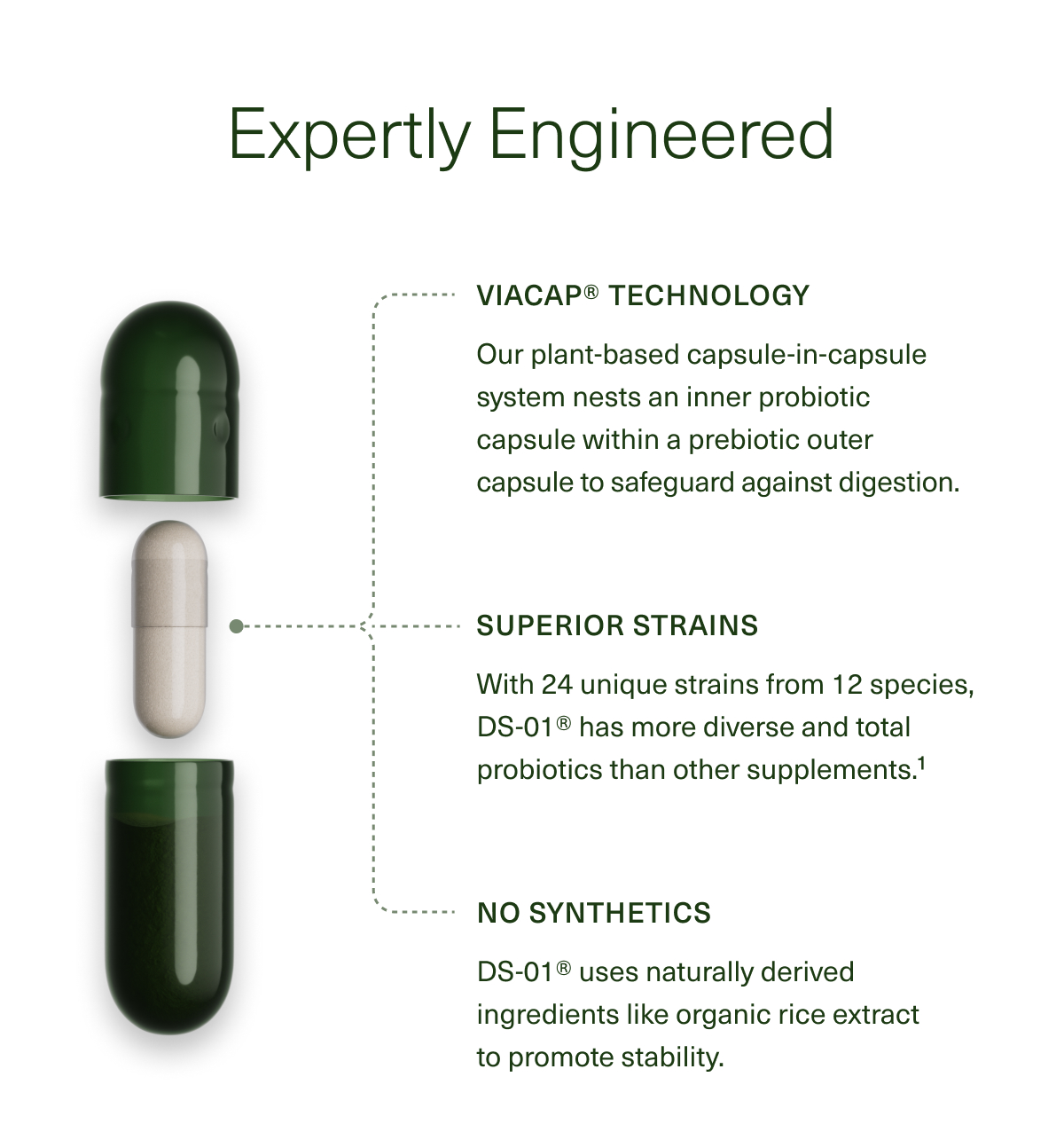 Expertly Engineered | VIACAP® TECHNOLOGY | Our plant-based capsule-in-capsule system nests an inner probiotic capsule within a prebiotic outer capsule to safeguard against digestion. | SUPERIOR STRAINS | With 24 unique strains from 12 species, DS-01® has more diverse and total probiotics than other supplements.¹ | NO SYNTHETICS | DS-01® uses naturally derived ingredients like organic rice extract to promote stability.