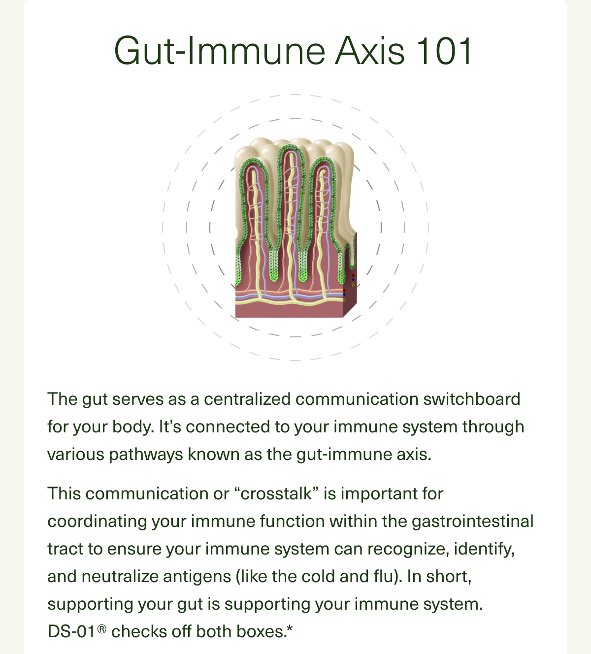 Gut-Immune Axis 101. The gut serves as a centralized communication switchboard for your body. It’s connected to your immune system through various pathways known as the gut-immune axis. This communication or “crosstalk” is important for coordinating your immune function within the gastrointestinal tract to ensure your immune system can recognize, identify, and neutralize antigens (like the cold and flu). In short, supporting your gut is supporting your immune system. DS-01® checks off both boxes.*