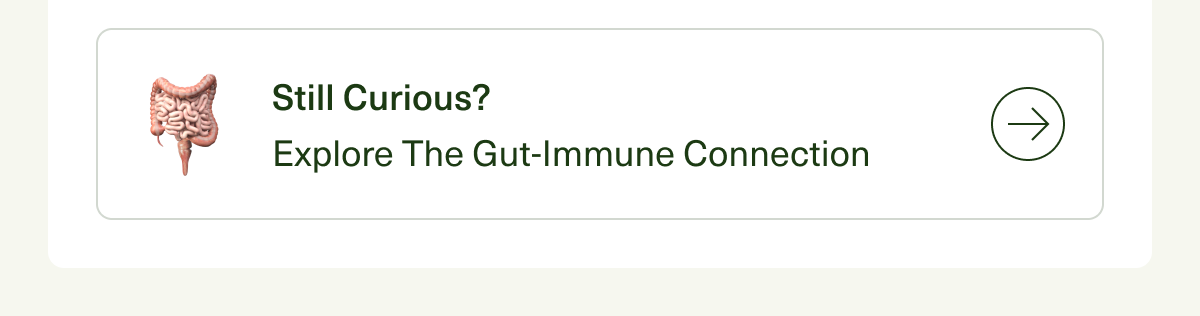 Still Curious? Explore The Gut-Immune Connection