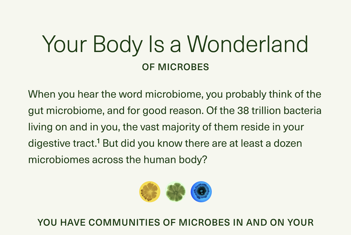 Your Body Is a Wonderland of Microbes. When you hear the word microbiome, you probably think of the gut microbiome, and for good reason. Of the 38 trillion bacteria living on and in you, the vast majority of them reside in your digestive tract.1 But did you know there are at least a dozen microbiomes across the human body? You have communities of microbes in and on your