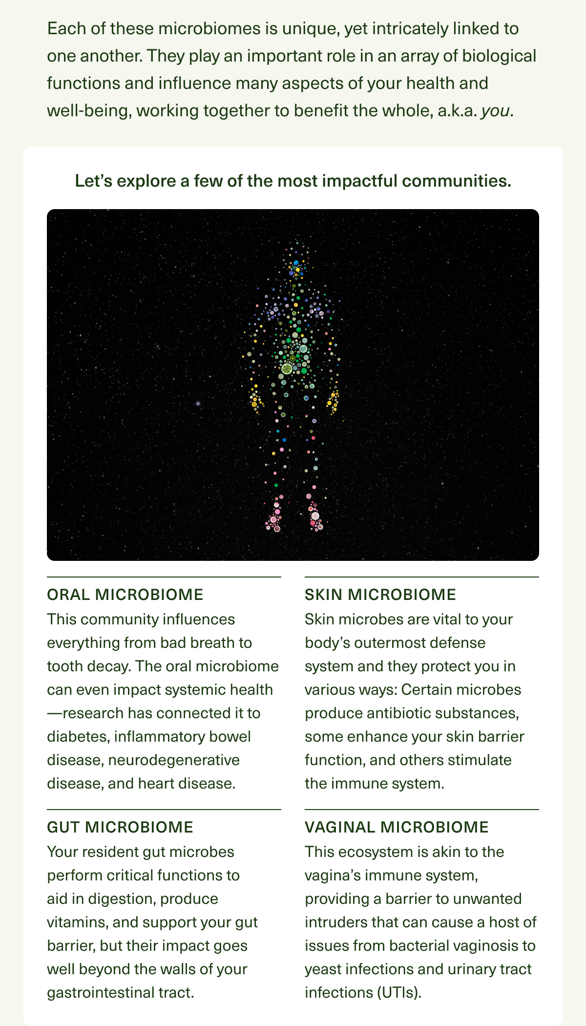 Each of these microbiomes is unique, yet intricately linked to one another. They play an important role in an array of biological functions and influence many aspects of your health and well-being, working together to benefit the whole, a.k.a. You. Let’s explore a few of the most impactful communities. Oral Microbiome This community influences everything from bad breath to tooth decay. The oral microbiome can even impact systemic health—research has connected it to diabetes, inflammatory bowel disease, neurodegenerative disease, and heart disease. Skin Microbiome Skin microbes are vital to your body’s outermost defense system and they protect you in various ways: Certain microbes produce antibiotic substances, some enhance your skin barrier function, and others stimulate the immune system. Gut Microbiome Your resident gut microbes perform critical functions to aid in digestion, produce vitamins, and support your gut barrier, but their impact goes well beyond the walls of your gastrointestinal tract. Vaginal Microbiome This ecosystem is akin to the vagina’s immune system, providing a barrier to unwanted intruders that can cause a host of issues from bacterial vaginosis to yeast infections and urinary tract infections (UTIs).