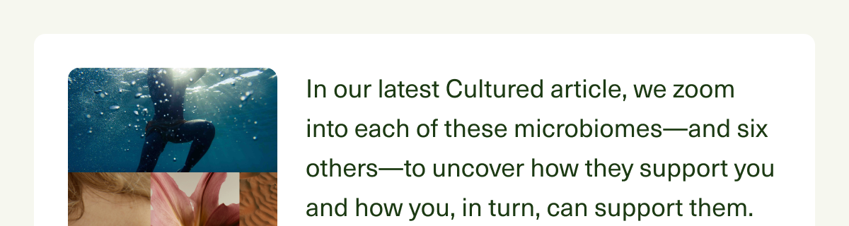 In our latest Cultured article, we zoom into each of these microbiomes—and six others—to uncover how they support you and how you, in turn, can support them.