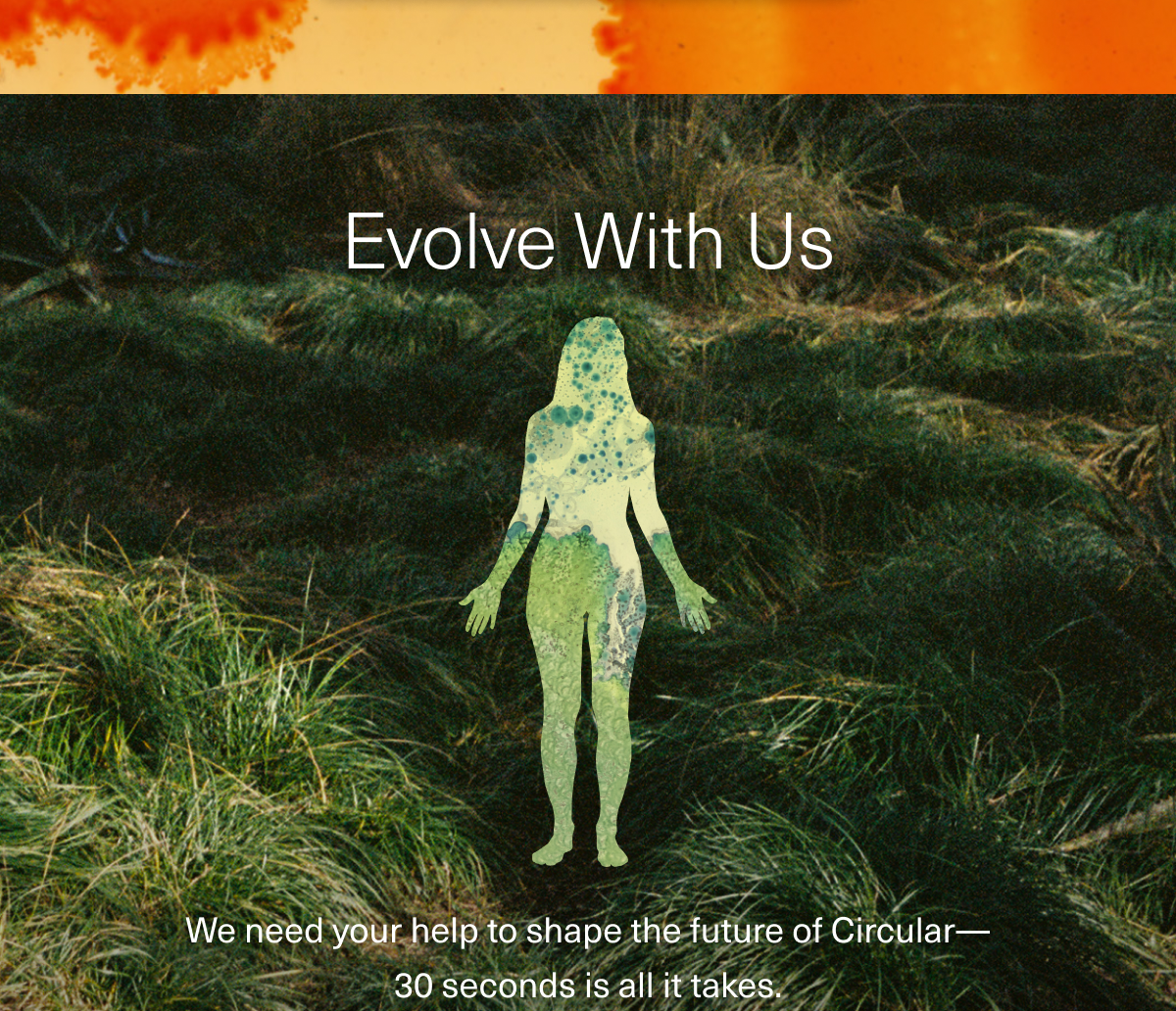 Evolve With Us. We need your help to shape the future of Circular— 30 seconds is all it takes. 