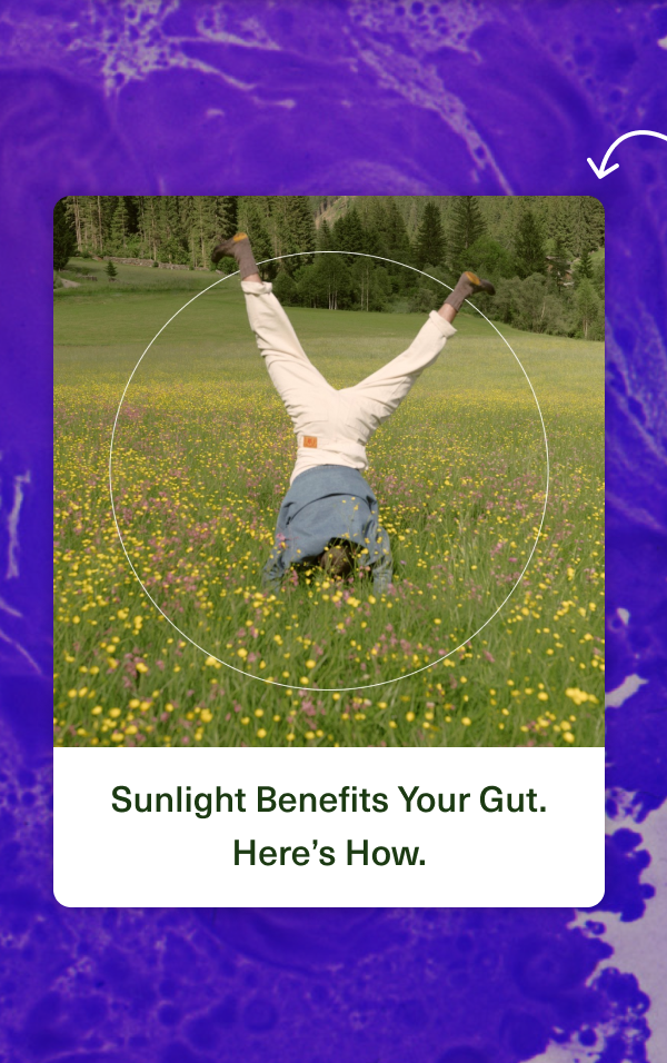 Sunlight Benefits Your Gut. Here’s How.