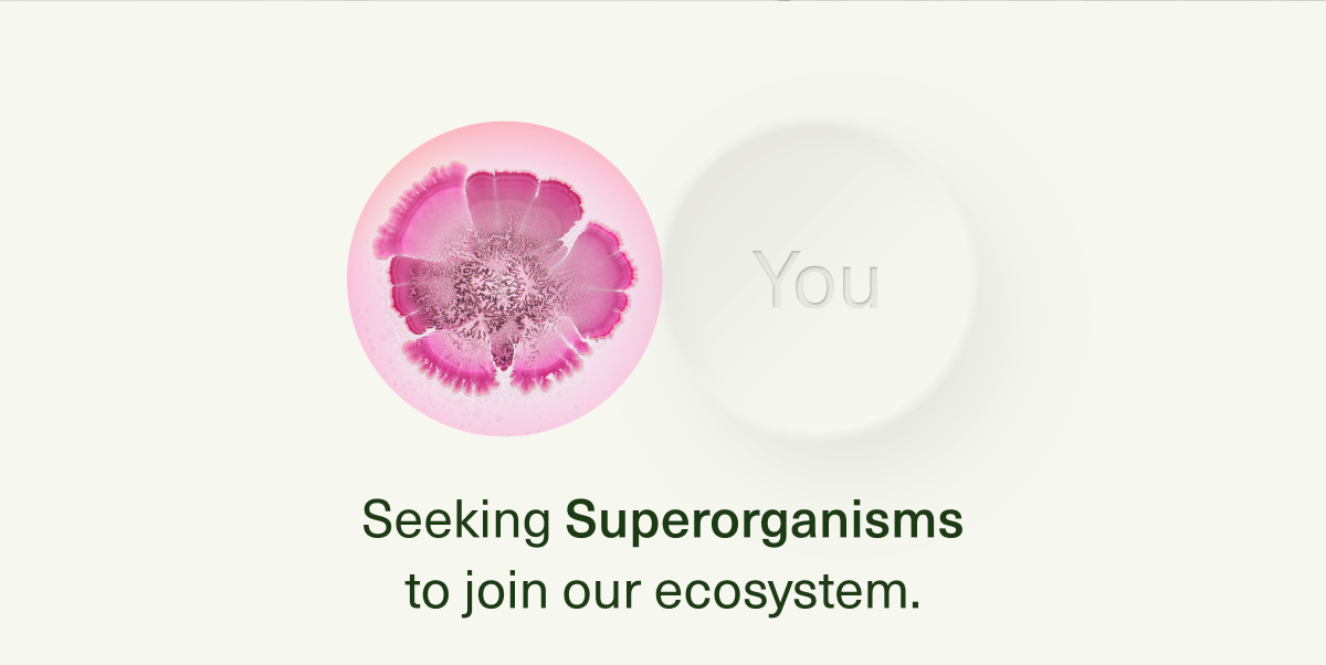 Seeking Superorganisms to join our ecosystem.