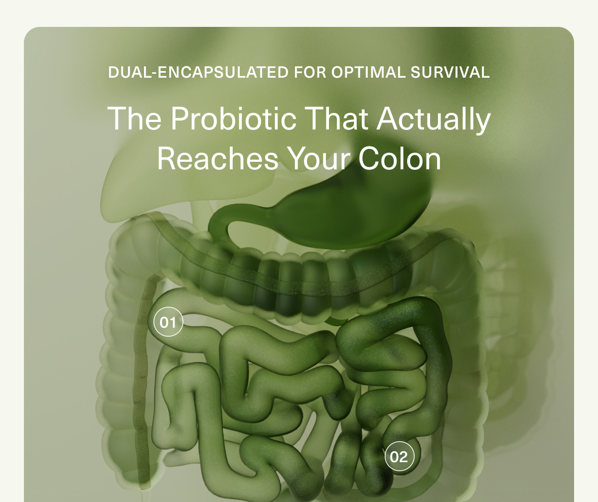 DUAL-ENCAPSULATED FOR OPTIMAL SURVIVAL | The Probiotic That Actually Reaches Your Colon