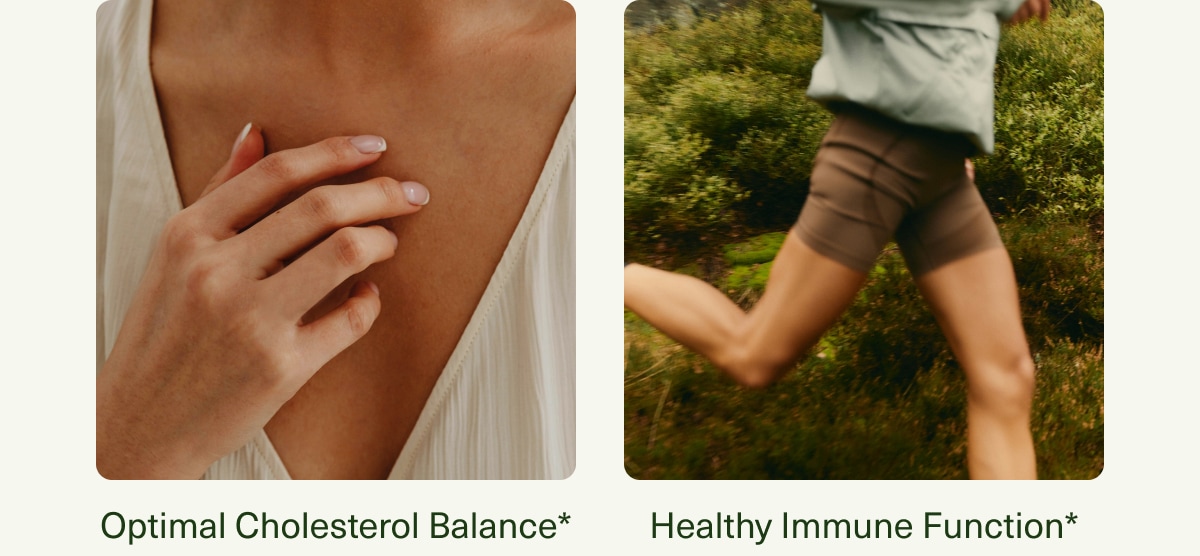 Optimal Cholesterol Balance* | Healthy Immune Function*