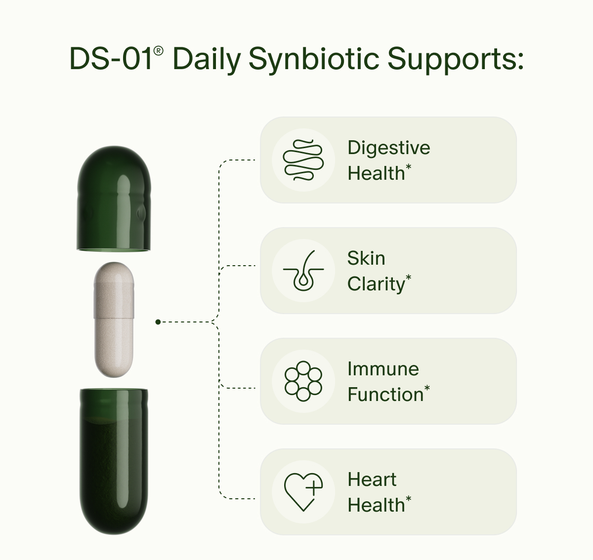 DS-01®&nbsp;Daily Synbiotic Supports: Digestive Health* | Skin Clarity* | Immune Function* | Heart Health*