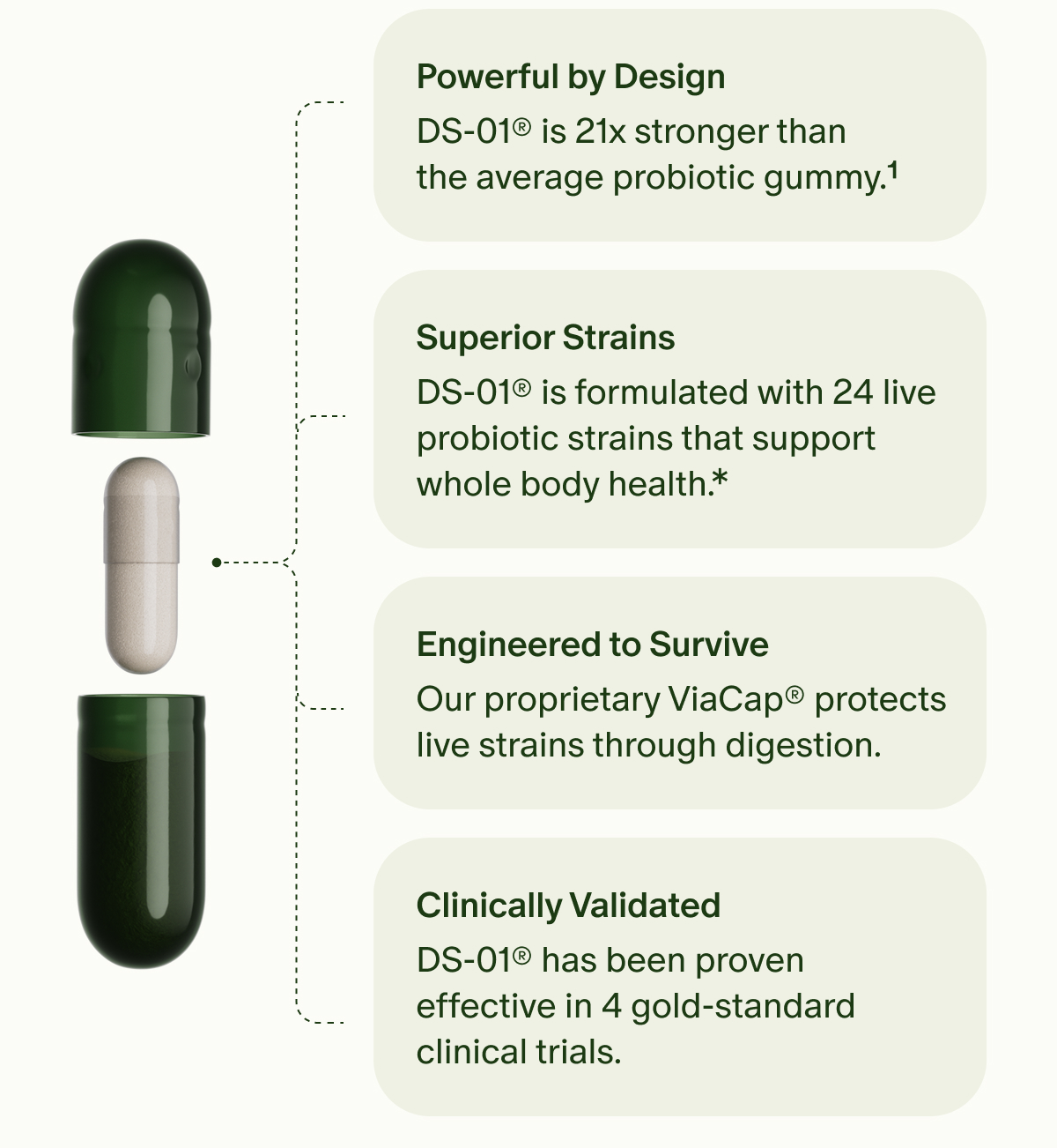 Powerful by Design | DS-01® is 21x stronger than the average probiotic gummy.¹ | Superior Strains | DS-01® is formulated with 24 live probiotic strains that support whole body health.* | Engineered to Survive | Our proprietary ViaCap® protects live strains through digestion. | Clinically Validated | DS-01® has been proven effective in 4 gold-standard clinical trials.