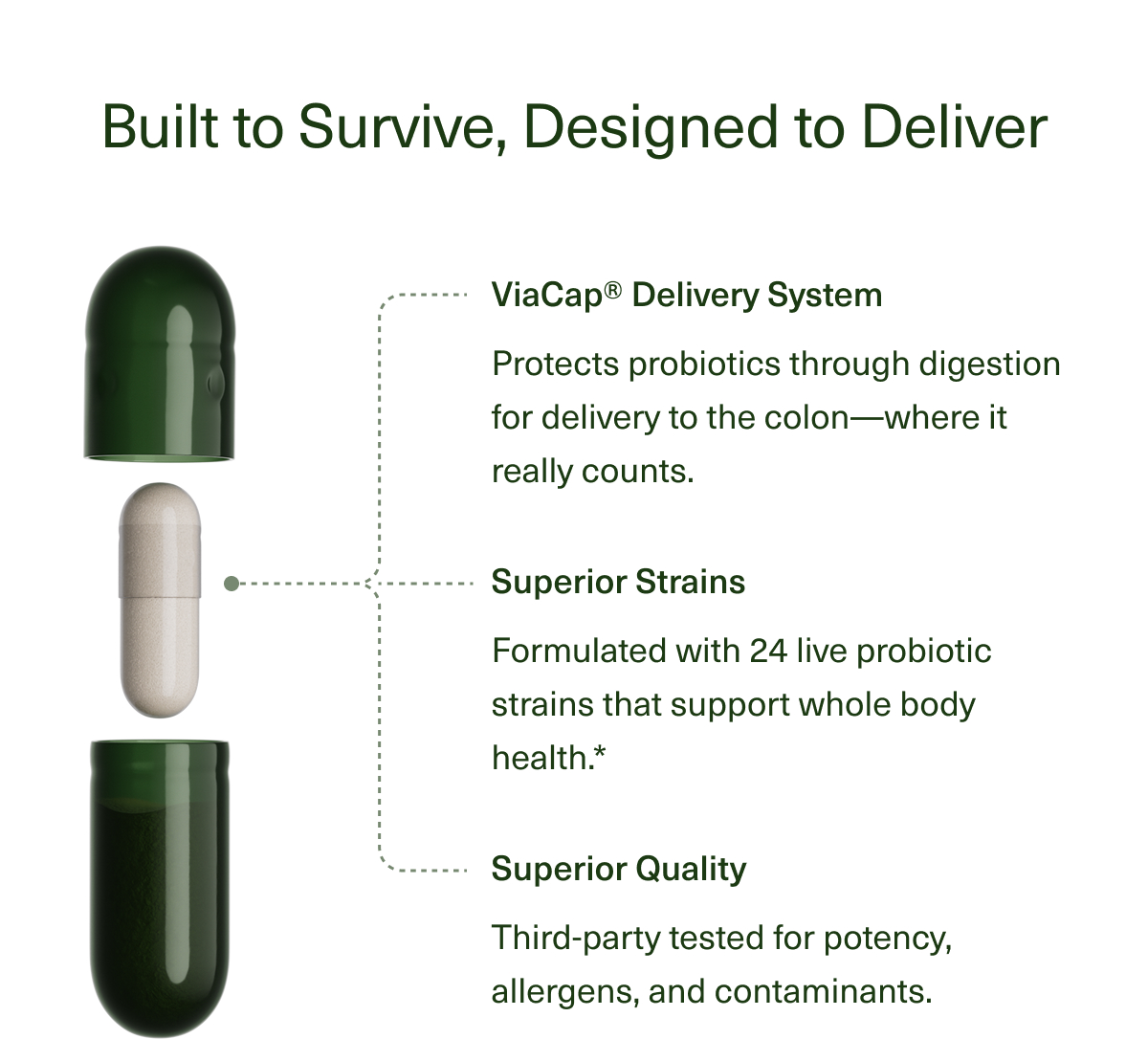 Built to Survive, Designed to Deliver | ViaCap® Delivery System | Protects probiotics through digestion for delivery to the colon—where it really counts. | Superior Strains | Formulated with 24 live probiotic strains that support whole body health.* | Superior Quality | Third-party tested for potency, allergens, and contaminants. 