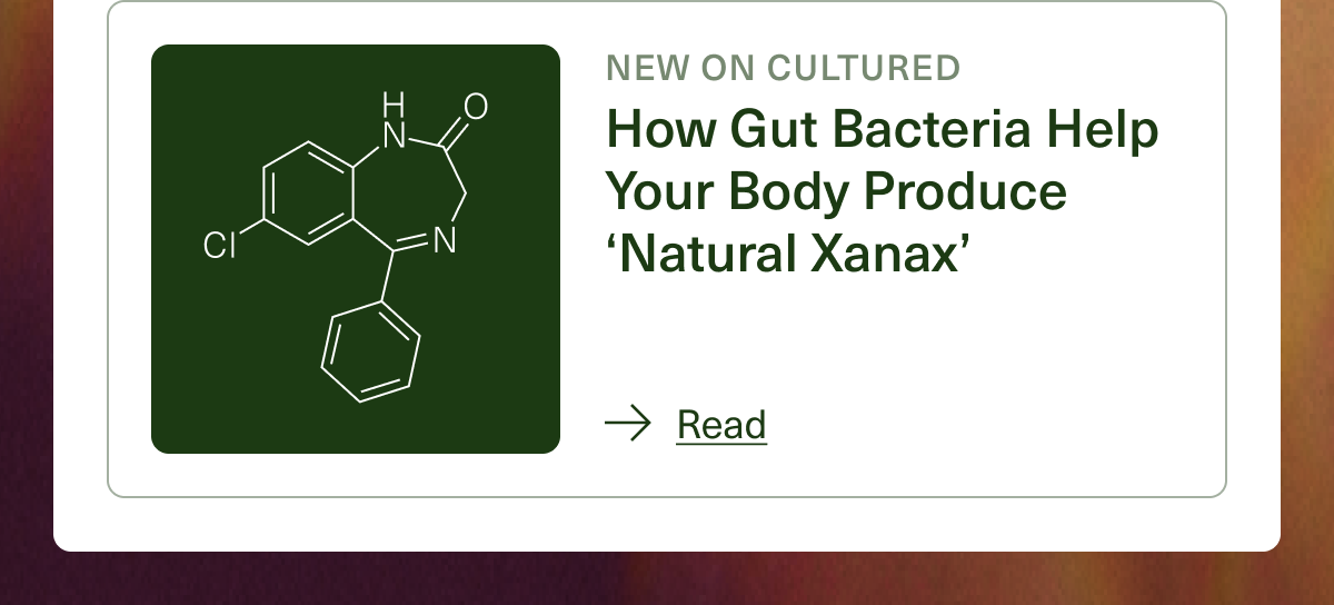 New on Cultured. How Gut Bacteria Help Your Body Produce ‘Natural Xanax’. Read