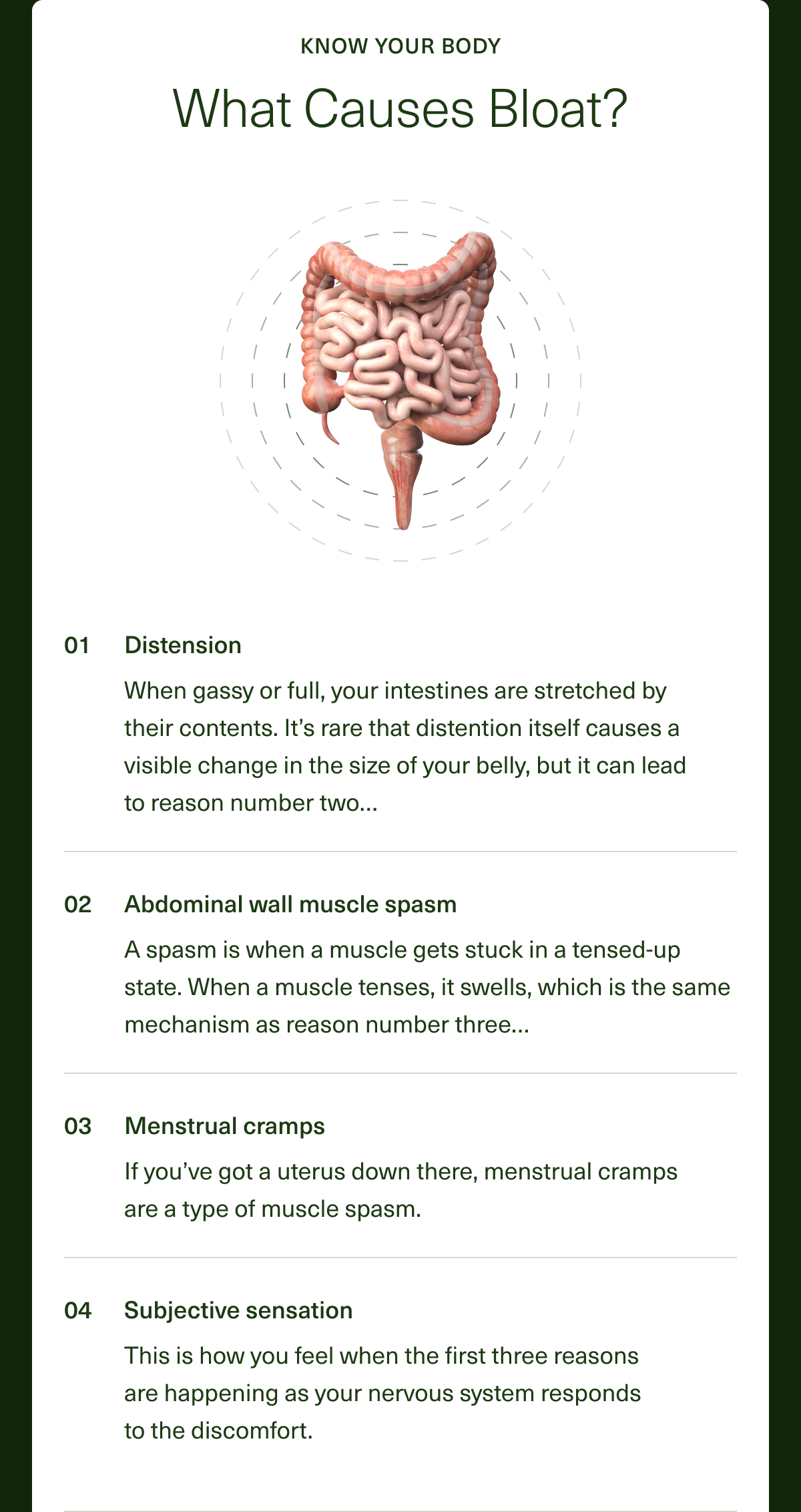 KNOW YOUR BODY. What Causes Bloat? 01. Distension - When gassy or full, your intestines are stretched by their contents. It’s rare that distention itself causes a visible change in the size of your belly, but it can lead to reason number two… 02. Abdominal wall muscle spasm - A spasm is when a muscle gets stuck in a tensed up state. When a muscle tenses, it swells, which is the same mechanism as reason number three… 03. Menstrual cramps - If you’ve got a uterus down there, menstrual cramps are a type of muscle spasm. 04. Subjective sensation - This is how you feel when the first three reasons are happening as your nervous system responds to the discomfort.