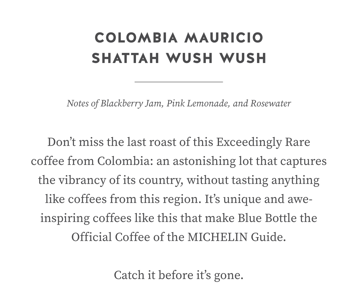 Colombia Mauricio Shattah Wush Wush. Notes of Blackberry Jam, Pink Lemonade, and Rosewater.