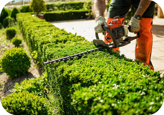 Gardeners