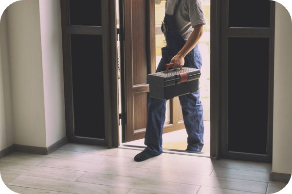 Carpet Cleaning