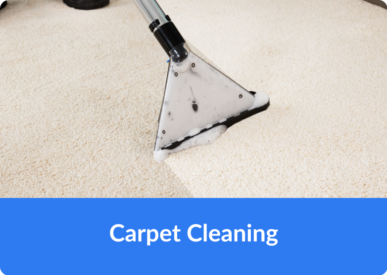 Carpet Cleaning