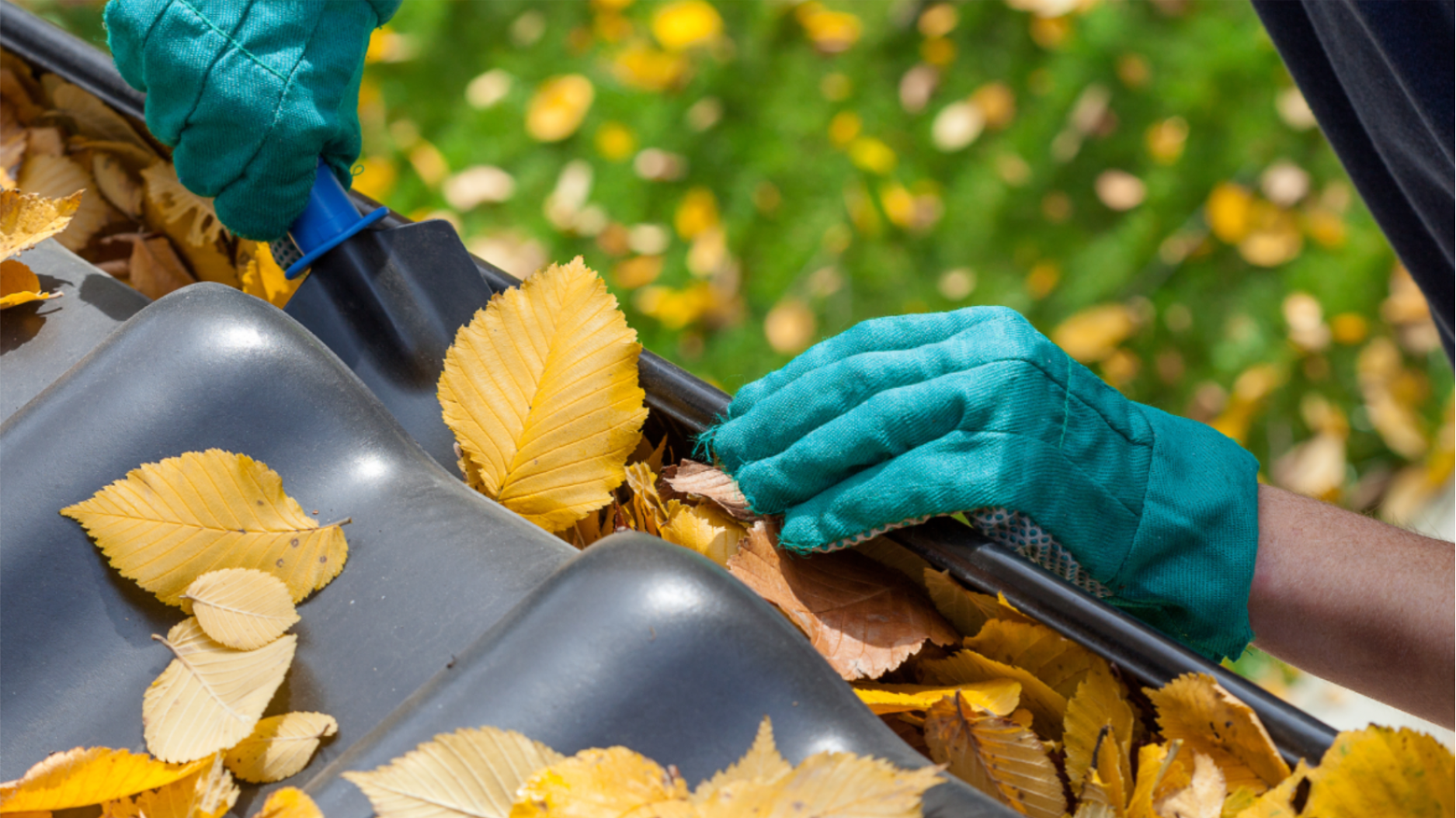 Gutter Cleaning