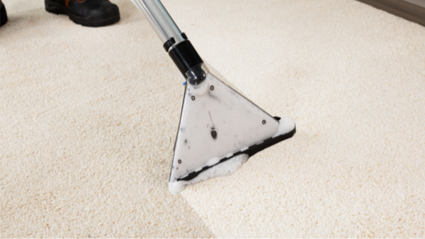 Carpet Cleaning
