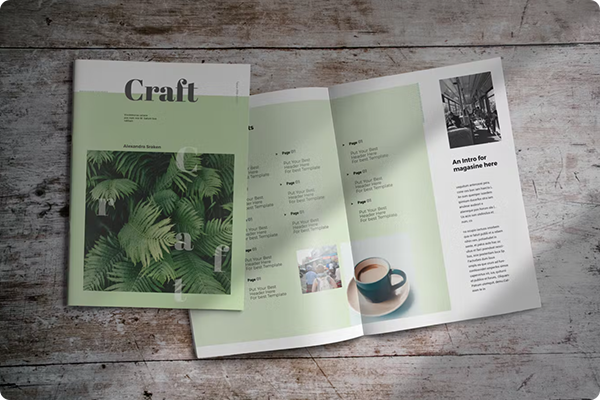 InDesign Magazine Template