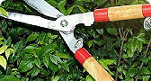 Tree service